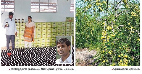 உன்னால் முடியும்: மதிப்புக் கூட்டலில் கிடைத்த வருமானம்