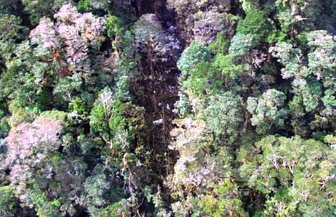 இந்தோனேசிய விமான விபத்தில் பலியான 54 பேரின் உடல்கள் மீட்பு