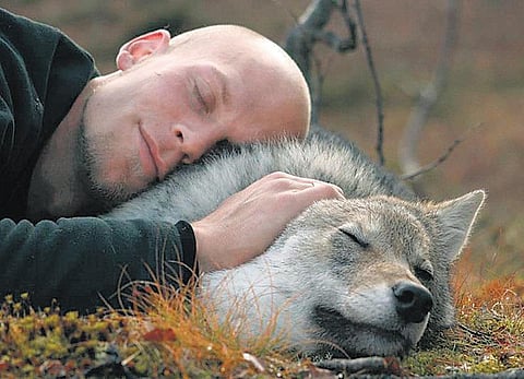 உலக மசாலா: ஓநாயுடன் ஓர் இரவு!