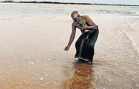 தவழ்ந்தாய் வாழி தாமிரபரணி: சங்குமுகத்தில் சங்கமம்