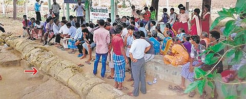 15 கோடி ஆண்டுகள் பழமையான அரியவகை கல்மரங்கள் போதிய பராமரிப்பின்றி சிதிலம்: பாதுகாக்க கோரிக்கை