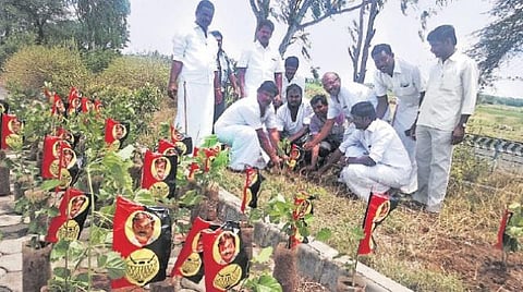 தேமுதிக சார்பில் ராமாக்காள் ஏரிக்கரையில் மரக்கன்றுகள் நடவு