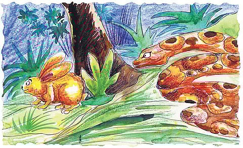 சித்திரக் கதை: டாம் மச்சான்... டூம் மச்சான்...