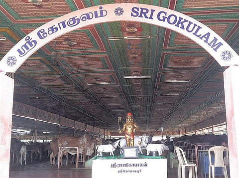 மனமுருகி இறைவன் நாமத்தைச் சொன்னால் போதும்: விட்டல் தாஸ் மகராஜ் நேர்காணல்