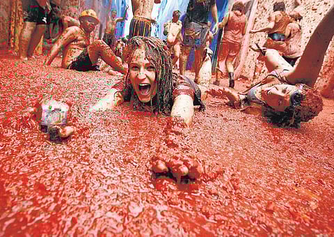 எழுபது ஆண்டுகளாக நடக்கும் தக்காளிச் சண்டை