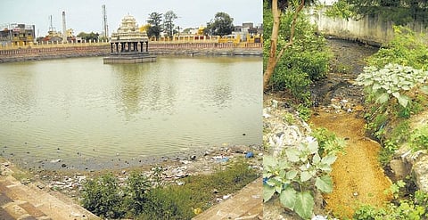 நகராட்சி, பொதுப்பணித்துறை போட்டியால் தூர்ந்து போகும் கால்வாய்கள்: காஞ்சிபுரம் சர்வ தீர்த்த குளத்தை யார் பராமரிப்பது? நெல் அரவை ஆலை கழிவுகளாலும் பாதிப்பு
