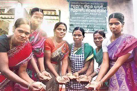 விதை காக்கும் ‘கொல்லி பாவைகள்!