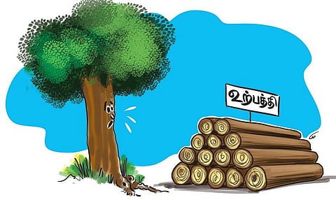 ஏரின்றி அமையாது உலகு: எது உண்மை வளர்ச்சி?