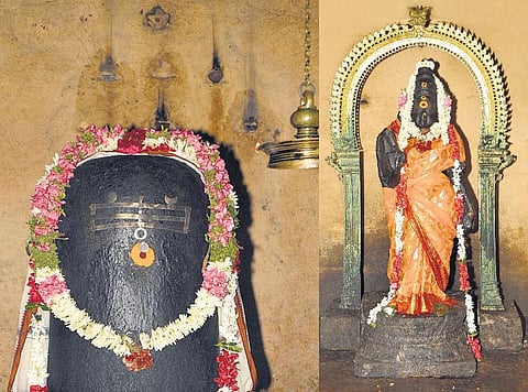 சிவனுக்காகத் தேன் சொட்டும் தேனீக்கள்