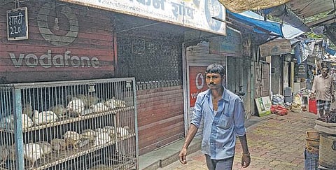 ஜெயின் பண்டிகையில் சர்ச்சை: அரசு தடையை மீறி இறைச்சி விற்க மும்பையில் ‘ஸ்டால்’ போட்ட சிவசேனா