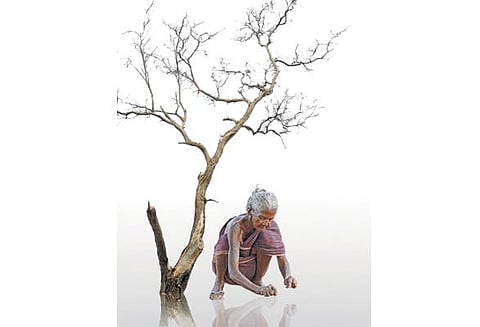 பெண் எனும் பகடைக்காய்: இற்று விழும் வேர்கள்