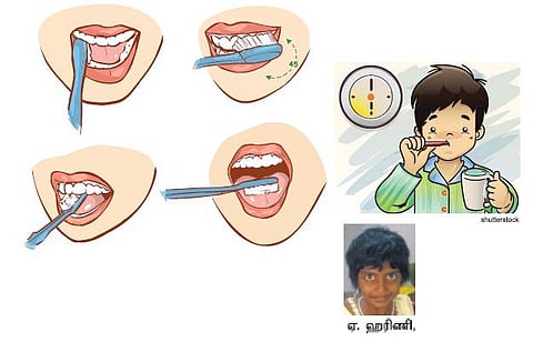 பற்களைச் சுத்தமாகத் துலக்குவோமா?