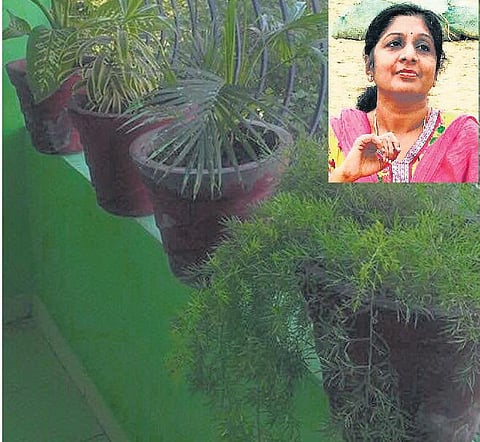 எனக்குப் பிடித்த வீடு: கிளிகளுக்காகக் காத்திருக்கும் பால்கனி