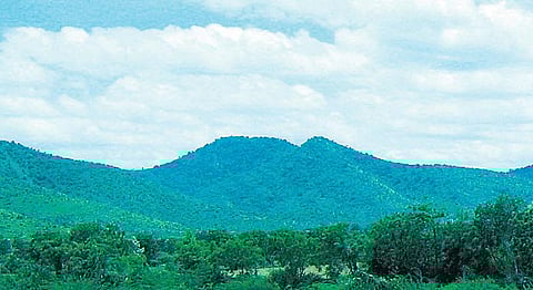 கிழக்கில் விரியும் கிளைகள்: இமயத்துக்கு முந்தைய மலை