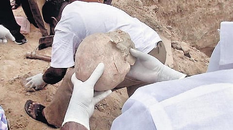 கிரானைட் குவாரியில் நரபலி கொடுக்கப்பட்டதாக புகார்: 3-வது நாள் தோண்டும் பணியில் மேலும் ஒரு எலும்புக்கூடு சிக்கியது