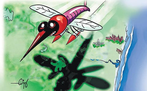 மூளைக் காய்ச்சலுக்கு முடிவுகட்டுவோம்!