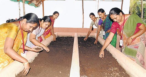 இயற்கைக்கு உரமூட்டும் ஈரோடு கல்லூரி