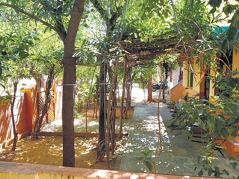 எனக்குப் பிடித்த வீடு: வாட்டம் போக்கும் தோட்டம்