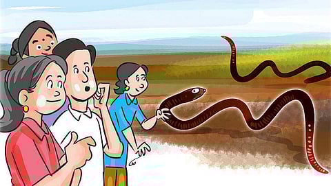 பசுமைப் பள்ளி- 3: பொறியாளர் மண்புழு