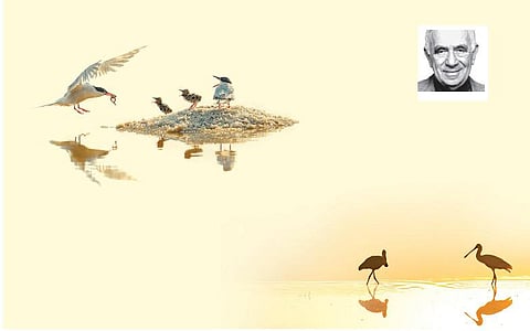 சூரியன் என்ன விலை?