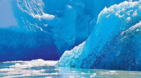 நுகர்வுக் கலாச்சாரத்தால் பொங்கும் கடல்