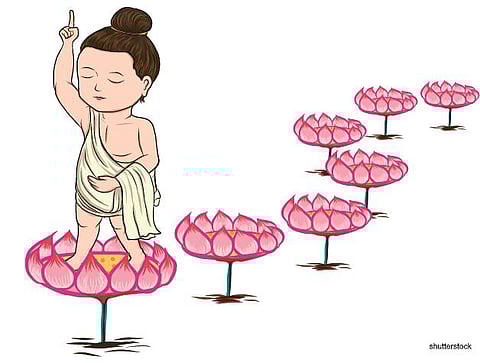 புத்தரின் மொழி: ஒளியிலே தெரிவது