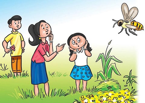 பசுமைப் பள்ளி - 5: தேனீக்களே துணை