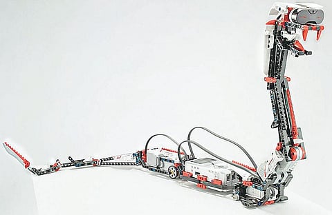 வீட்டைக் காக்கும் விநோத பாம்பு!