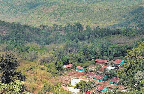 அறிவோம் நம் மொழியை: நிலத்தில் முளைத்த சொற்கள்