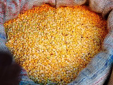 பருப்பு விலை உயர்வுக்கு உற்பத்தி குறித்த பதிவு இல்லாததே காரணம்: விவசாய சங்க கூட்டமைப்பு குற்றச்சாட்டு