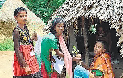 வாழ்க்கை முக்கியம் - வேர்கள் பாடம்!