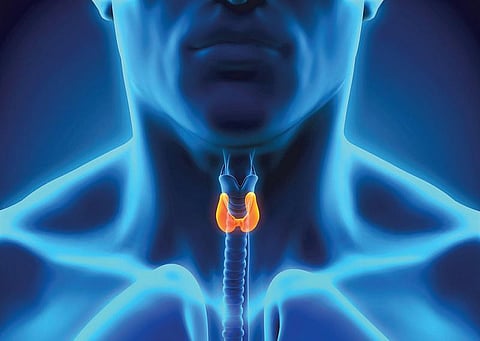 மரபு மருத்துவம்: வண்ணத்துப்பூச்சி வடிவத்தில் ஒரு பயங்கரம்!