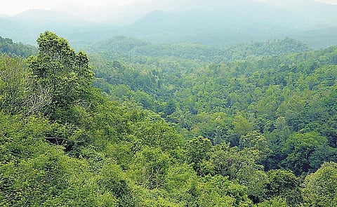 அபிவிருத்தி திட்டம் இல்லாத கிழக்கு தொடர்ச்சி மலை: அங்கீகாரம் வழங்க மறுக்கும் மத்திய நிலவள அமைச்சகம்