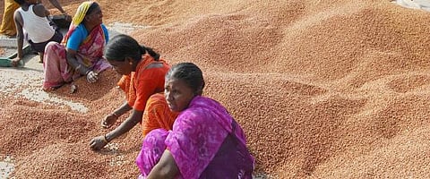 துவரம் பருப்பின் அரசியல்