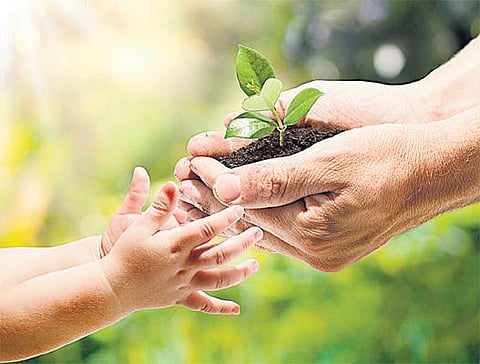 தமிழக - ஆந்திர எல்லையில் அமைய இருக்கும் ஒருங்கிணைந்த தொழில் நகரத்தில் 10 ஆயிரம் மரக்கன்றுகளை நட வேண்டும்: தனியார் கட்டுமான நிறுவனத்துக்கு பசுமை தீர்ப்பாயம் உத்தரவு