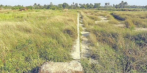 புதர் மேடாக இருந்து புத்துயிர் பெற்ற ஏரி