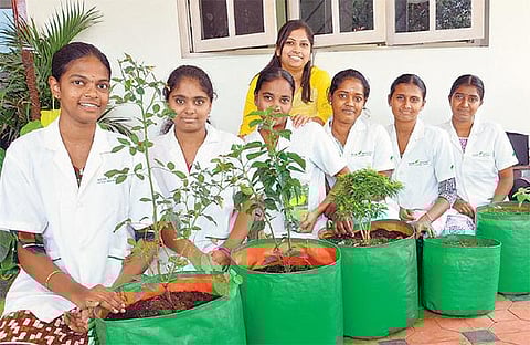 முகம் நூறு: எல்லாமே இருக்கு நம் விவசாயத்தில்!