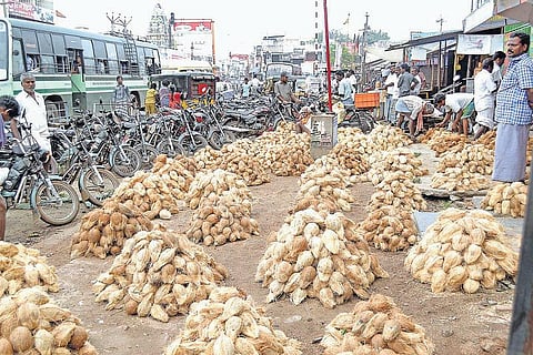 கொப்பரை கொள்முதல் குறைவால் தேங்காய் விலை வீழ்ச்சி
