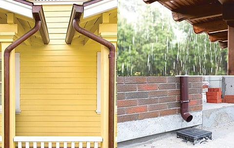 உங்களுக்காக விழும் மழைத்துளி!