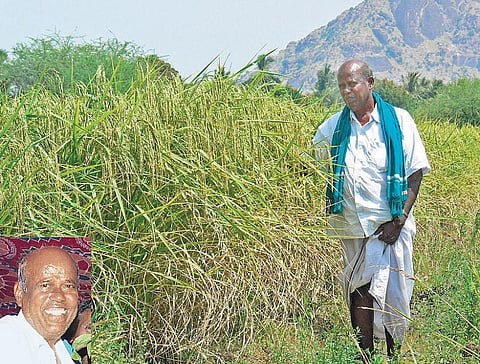 முன்னத்தி ஏர் 9: எல்லாம் இயற்கை பார்த்துக் கொள்ளும்