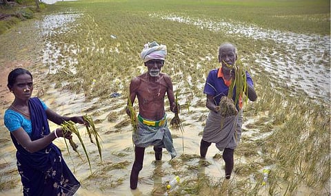 தமிழகத்தில் வெள்ள சேதத்தை மதிப்பிட மத்திய குழு விரைவில் வருகிறது: முதல்வர் ஜெயலலிதாவிடம் மத்திய அமைச்சர் ராஜ்நாத் சிங் உறுதி