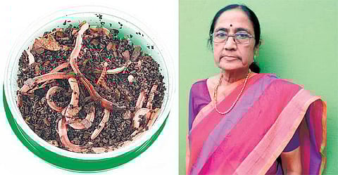 வானவில் பெண்கள்: இயற்கை வழியில் செல்லும் பேராசிரியர்!