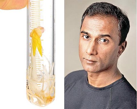 மண்ணைக் கட்டுப்படுத்தி, நாடுகளைக் கைப்பற்றும் மான்சான்டோ! - சிவா அய்யாதுரை நேர்காணல்