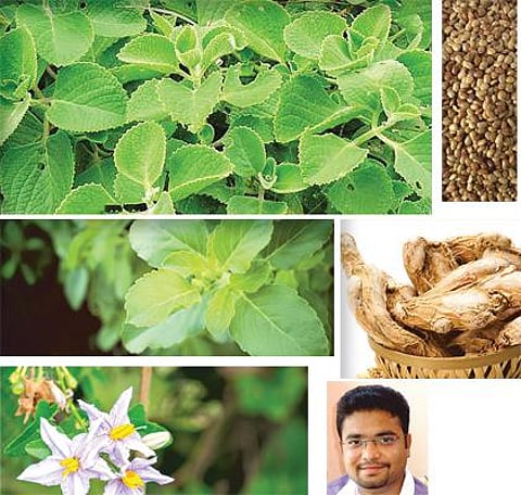 மரபு மருத்துவம்: மழைக்கால இயற்கை மருந்துக் கடை