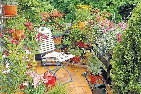 மாடியில் ஒரு பூங்கா