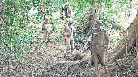 கேரள அட்டப்பாடி வனப் பகுதியில் நவீன ஆயுதங்களுடன் மாவோயிஸ்ட்கள் பதுங்கல்? - தேடுதல் வேட்டையில் தமிழக, கேரள போலீஸ்