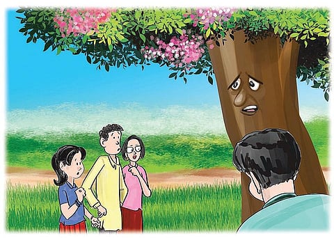 பசுமைப் பள்ளி-12: வேதி வயல்