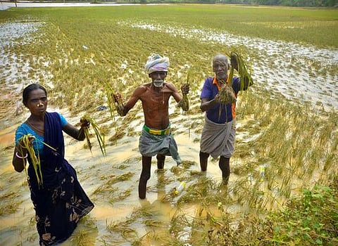 தத்தளிக்கும் கடலூர், தவிக்கும் மக்கள்