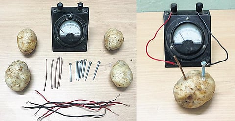 அடடே அறிவியல்: உருளைக்கிழங்கு பேட்டரி