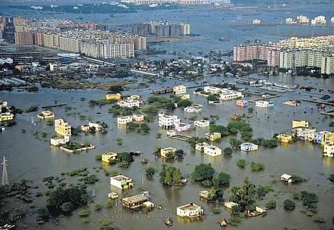 இழப்பின் பரிணாமங்கள்